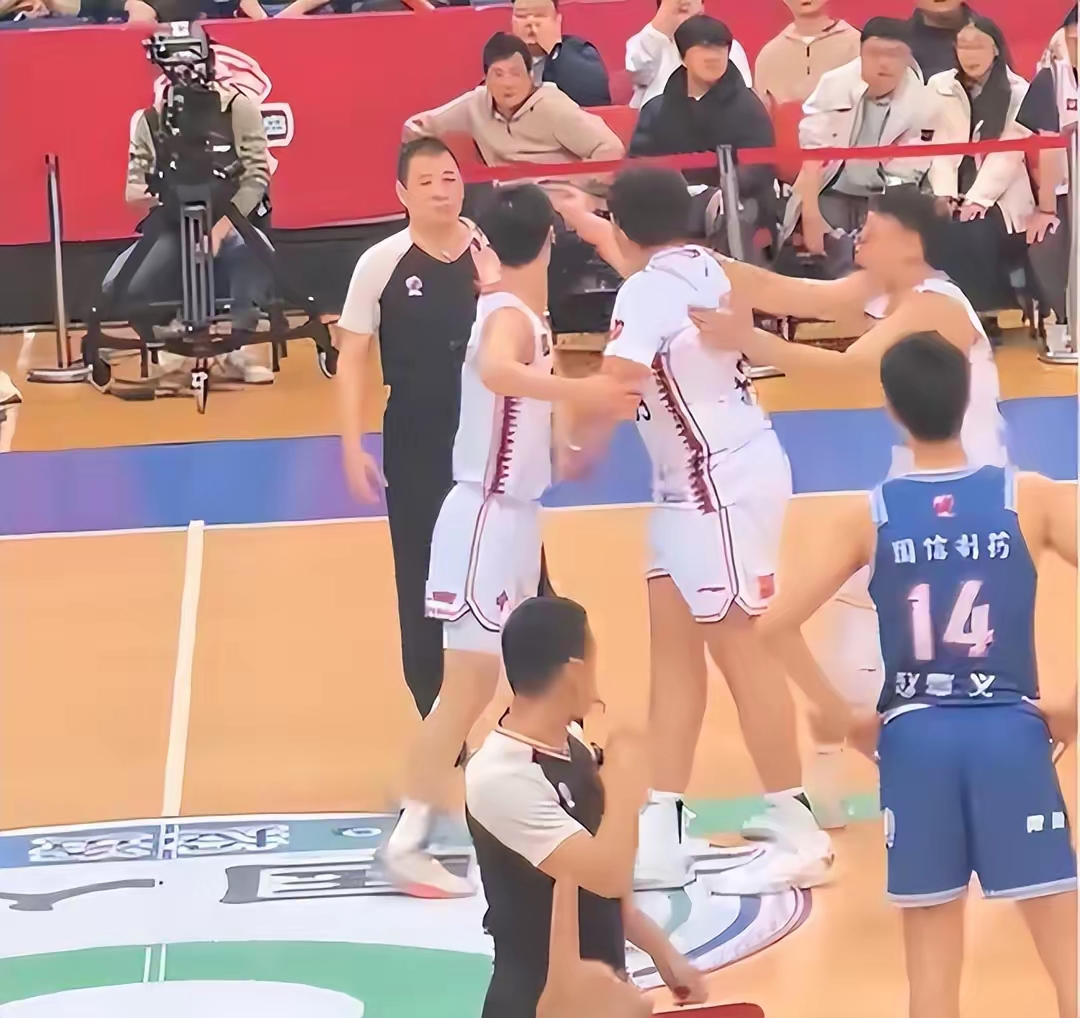 包含外援表现抢眼，带领球队在CBA赛场上大放光彩的词条