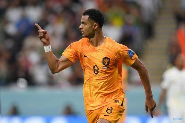 荷兰迎战波黑，谁能取得胜利